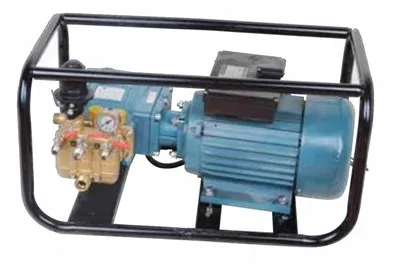 직접 작동 플런저 펌프 파워 스프레이어